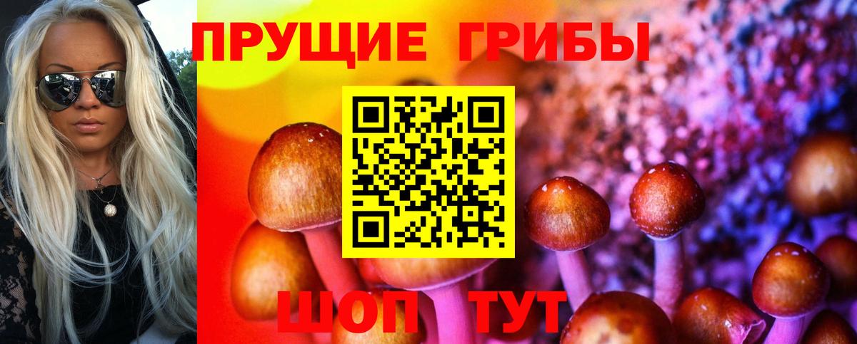 Серов  Галлюциногенные грибы мицелий  Вход с VPN 